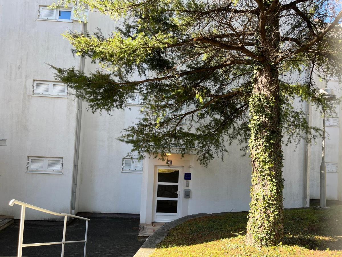 סלצה Apartman Maja מראה חיצוני תמונה
